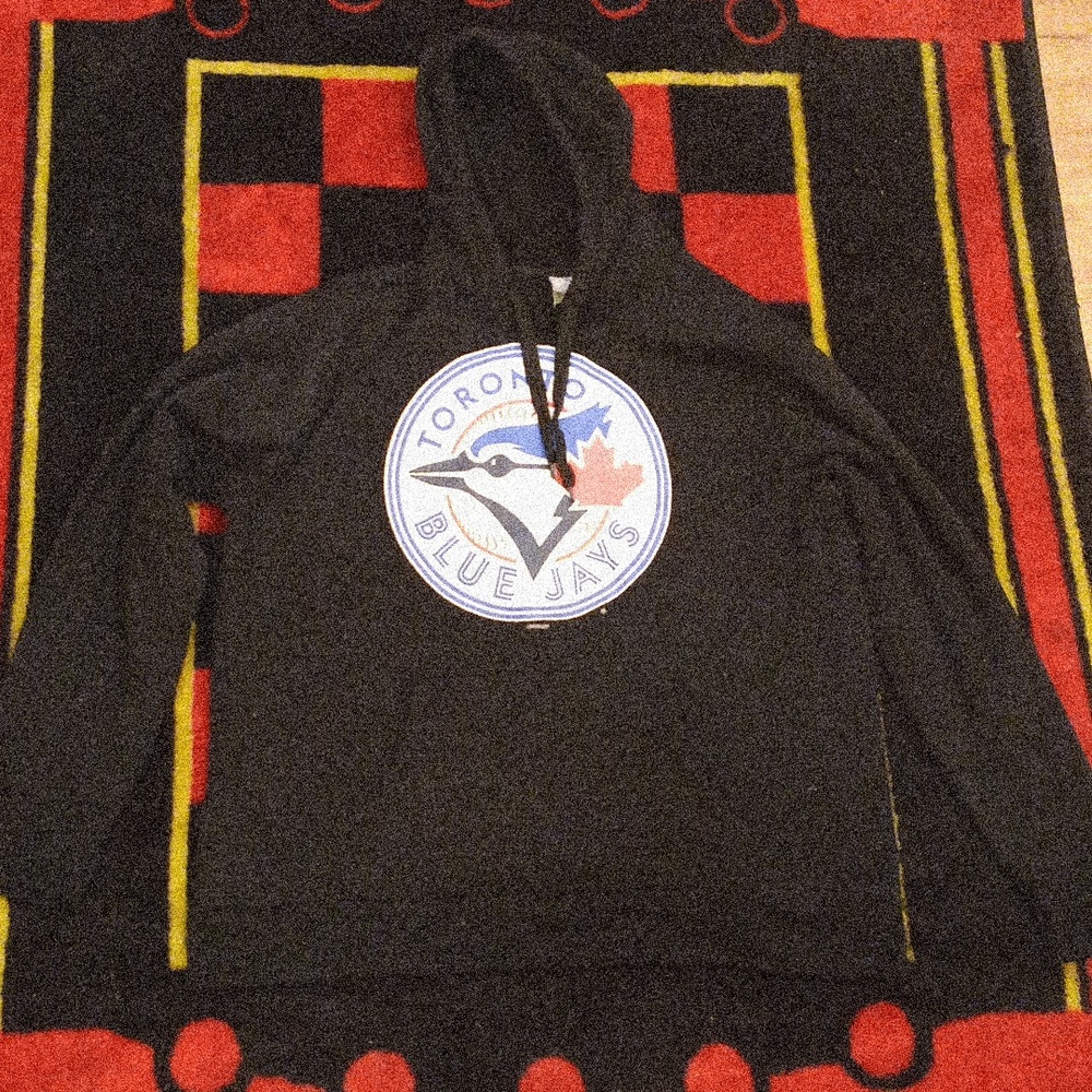 Toronto Blue Jays Hoodie